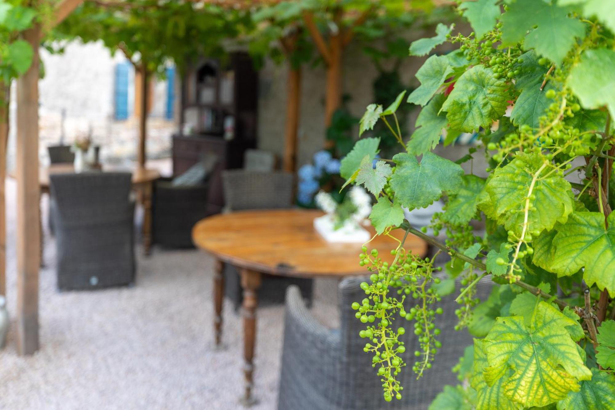 Louroux-de-Beaune Domaine La Pomme De Pin B&B 외부 사진